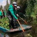 Contaminación en canales de Xochimilco afecta a la comunidad y la fauna