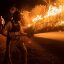 MÉXICO EN LLAMAS:El mayor numero de incendios en 2024
